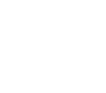 Wheelchair and Walker Rentals
